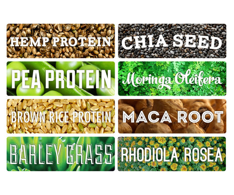 Prime Wholesale: Bulk Order